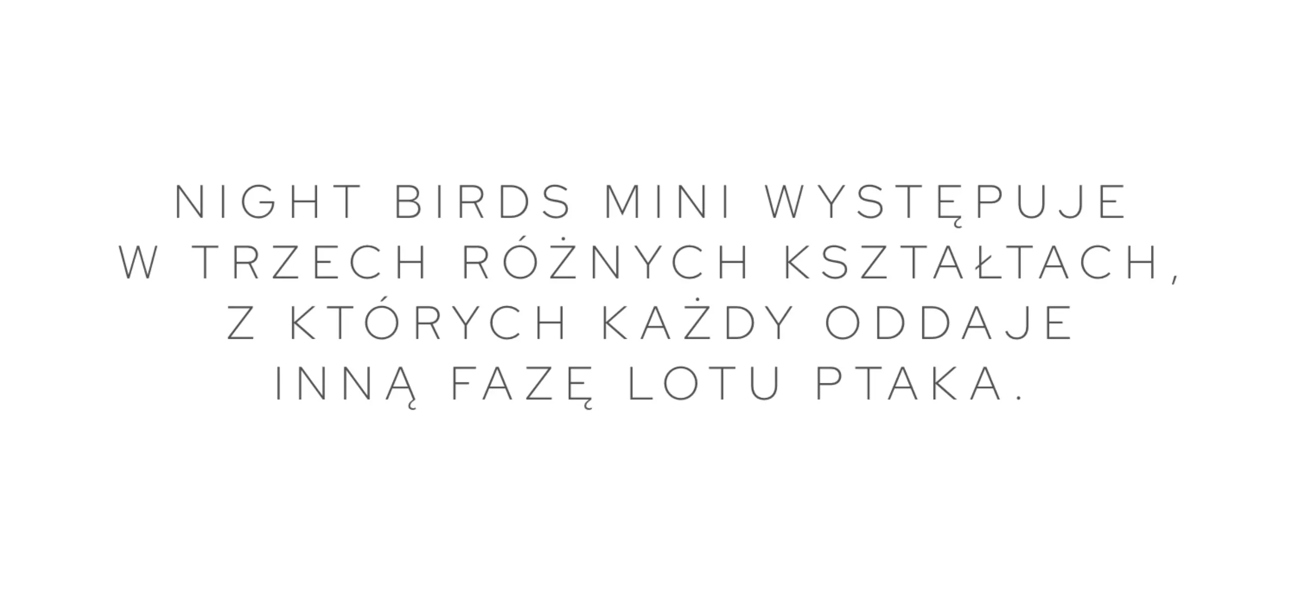 Nowość – BROKIS Night Birds Mini