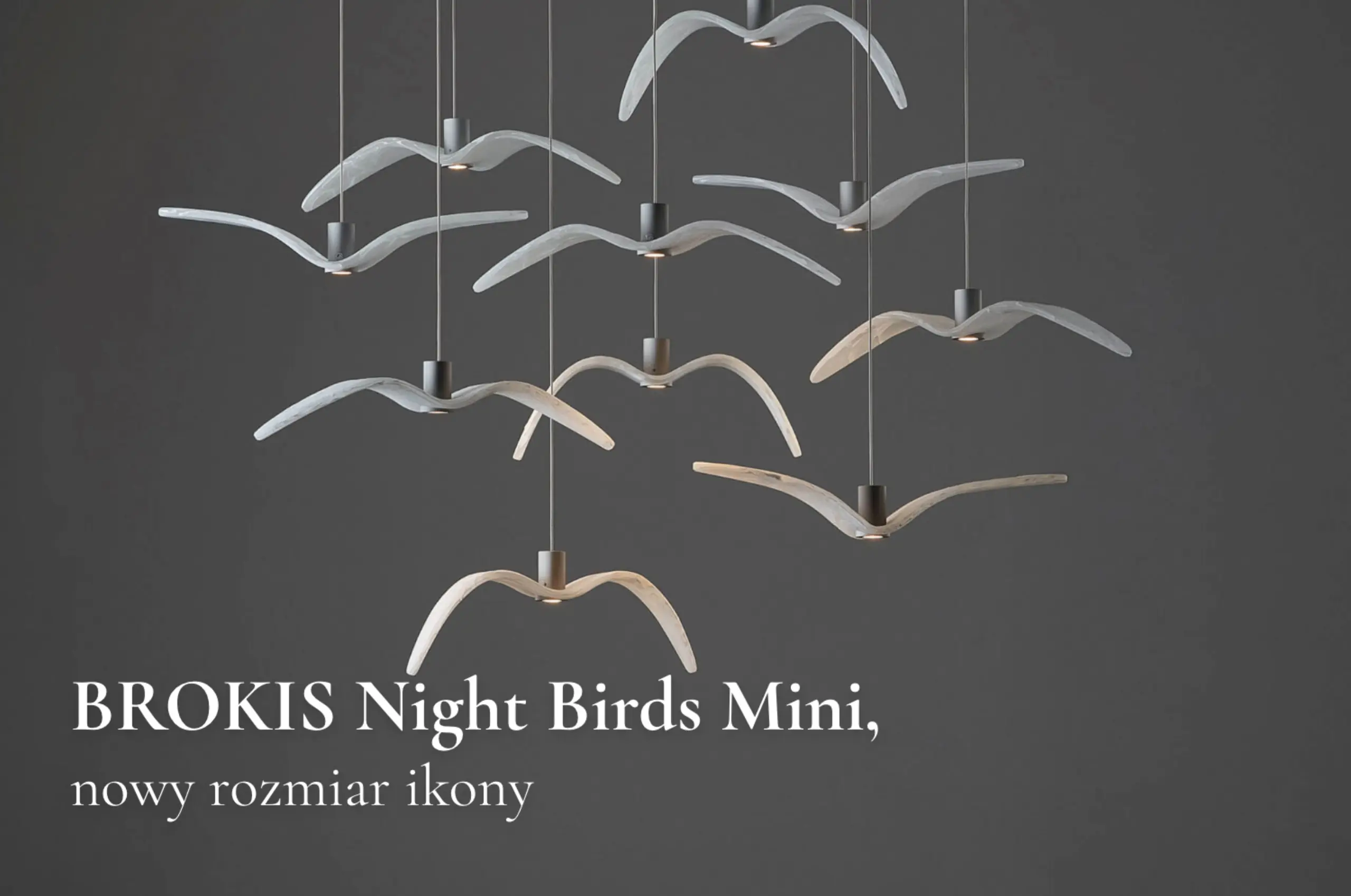 Nowość – BROKIS Night Birds Mini